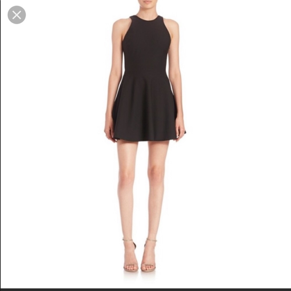 Elizabeth and James Fit and Flare with Bow Back
